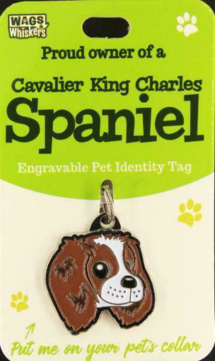 Picture of KING CHARLES ID TAG